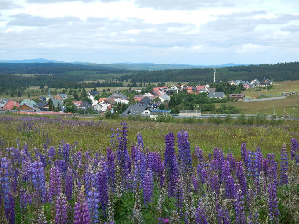 U Klinovce Apartment